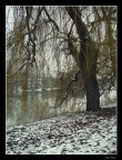 Mago Inverno