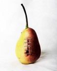 Wounded Pear