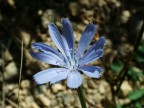 macro macro