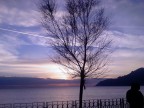 Albero e Mare Albero e Mare