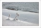 gelata notturna (3) gelata notturna (3)