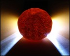il sole sulla tavola il sole sulla tavola