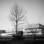 la sedia della puttana la sedia della puttana