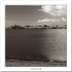 migrazione invernale migrazione invernale