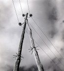 CHI TOCCA I FILI... CHI TOCCA I FILI...