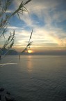 Sea missing