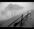 Erice dentro la nebbia Erice dentro la nebbia