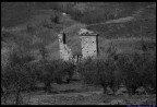Dopo la guerra... Dopo la guerra...