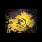 Polvere sei... Polvere sei...