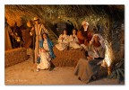 Natività Natività