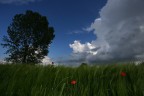 campo di grano verde, cielo blu, nuvole bianche...

http://www.youtube.com/watch?v=RjWKQnp0sso&feature=related