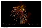 Fiore notturno Fiore notturno