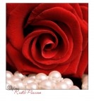 Red&Passion Red&Passion