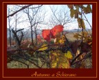 Autunno A Schierano Autunno A Schierano