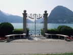 The gate
