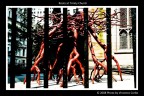 Roots at Trinity Church Roots at Trinity Church