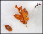 ...l'inverno...