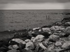 ...Mare...