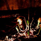 rumore silente rumore silente