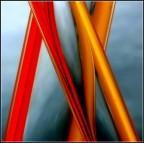 Intreccio di colori Intreccio di colori