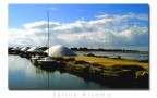 Saline Saline