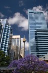 I colori di Sydney I colori di Sydney