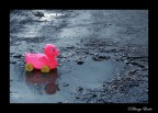 UN MONDO DIFFICILE......... UN MONDO DIFFICILE.........