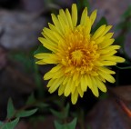 Come sarebbe "E' ancora inverno..."??? Come sarebbe "E' ancora inverno..."???