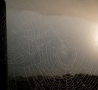 Fragilità Fragilità