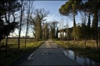 Il risveglio dopo la tempesta Il risveglio dopo la tempesta