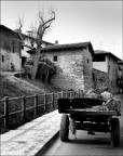 In campagna non è mai Domenica In campagna non è mai Domenica