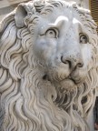 statua leone statua leone