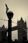 Londra Londra
