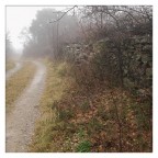 Pioviggine Pioviggine