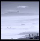 Volo nella nebbia Volo nella nebbia