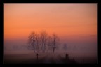 Sulla via del ritorno non potevo fare a meno di fermare la machina e fotografare questo speciale momento, il sole tramonta infiammando il cielo mentre sale la nebbia.