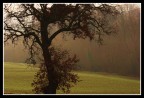 Autunno Autunno