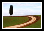 Curva Curva