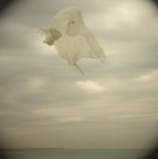 insostenibile leggerezza insostenibile leggerezza