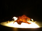 Foglia Illuminata Foglia Illuminata
