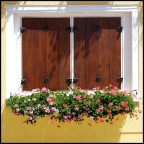 Finestra buranese Finestra buranese