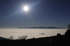 Controluce nella Nebbia Controluce nella Nebbia