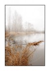 nebbia nebbia