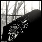 La Vedova nera La Vedova nera