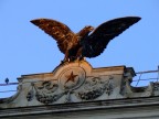 un'aquila su Roma un'aquila su Roma