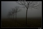 fotocopie nella nebbia fotocopie nella nebbia
