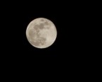 Luna piena Luna piena