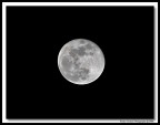 Luna 23-01-08 Luna 23-01-08