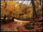 autunno in molise autunno in molise