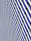 Allucinating windows Allucinating windows